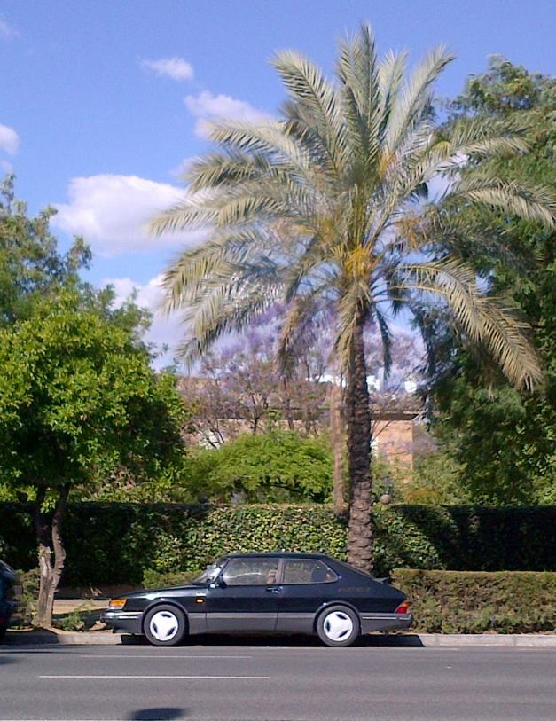 IMG-20140524-00652 R