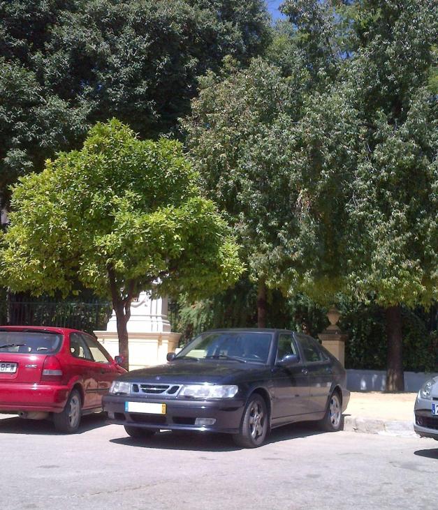 IMG-20140609-00700 R