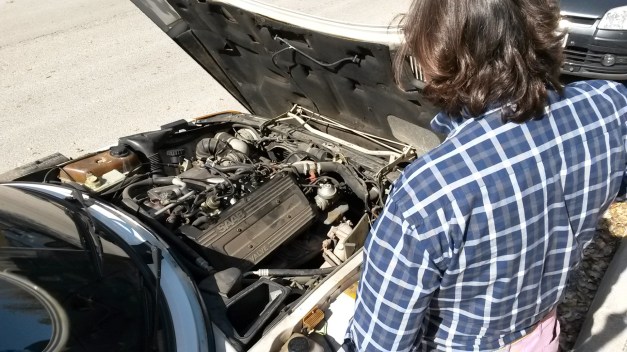 20141026_124907 (Large)