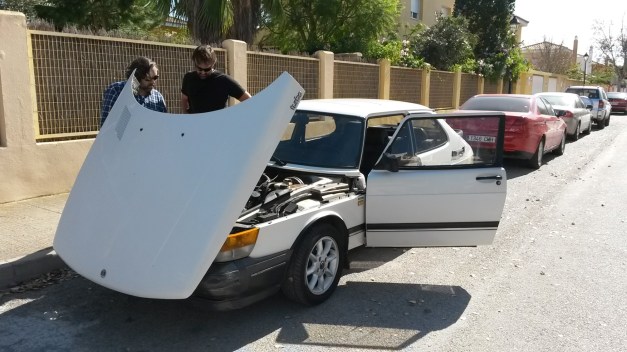 20141026_124950 (Large)