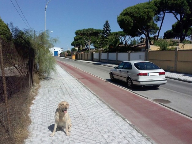 IMG-20150618-WA0000 R