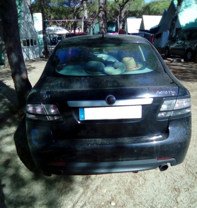 IMG-20160823-WA0004 R