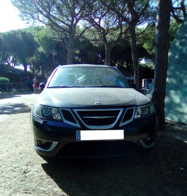 IMG-20160823-WA0006 R