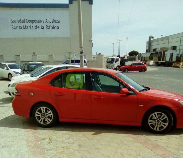 IMG-20170516-WA0014 RR