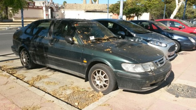 IMG-20171027-WA0015 R