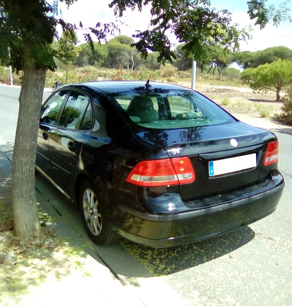 IMG-20190714-WA0037 RR